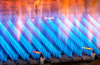 Hopworthy gas fired boilers